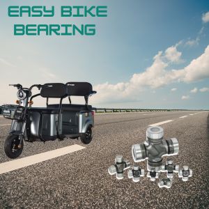 3-Wheeler & Easy Bike Bearings